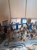 Coloxbox beren, Ophalen of Verzenden