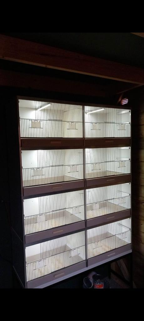 Gehu kweekkooi, Dieren en Toebehoren, Reptielen en Amfibieën | Toebehoren, Zo goed als nieuw, Terrarium of Paludarium, Ophalen