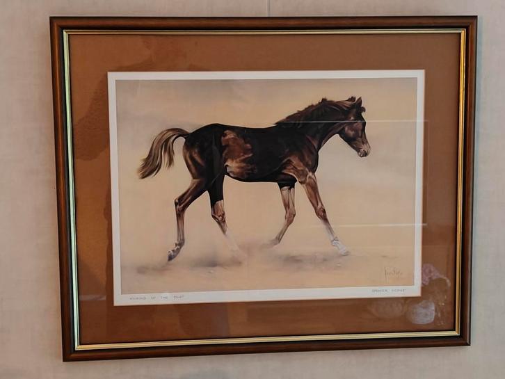 Schilderij (print) van Spencer Hodge - Paard in actie, Antiek en Kunst, Kunst | Tekeningen en Foto's, Ophalen of Verzenden