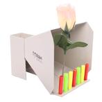 Kermis Targets – Leuke schietdoelen voor thuisgebruik, Nieuw, 8723BP-8, TargetKing, Www.targetking.nl