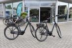 Pegasus Siena E7F l Bosch Active plus l 500wh l 50 & 55cm