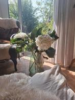 Ontspanning massage Amsterdam