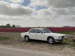 Jaguar Daimler XJ Sovereign 4.2 Series III AUT 1980 Wit, Auto's, Automaat, Achterwielaandrijving, Zwart, 4200 cc