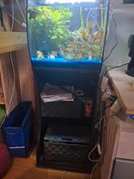 Aquarium fluval 57 liter, Dieren en Toebehoren, Vissen | Aquaria en Toebehoren, Ophalen, Zo goed als nieuw, Verlichting of Verwarming