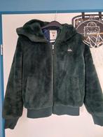 America today teddy jas maat 158 164, Ophalen of Verzenden, Zo goed als nieuw, Meisje, Jas