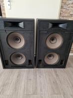 Philips LBC Pro Serie Speakers - Bioscoop/PA - 12", Ophalen, Philips, Gebruikt, 120 watt of meer