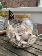 Grote glazen pot met schelpen allerlei. Exotisch en inheems., Ophalen of Verzenden