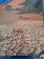 Legpuzzel Wild horse 1000 68x44, Ophalen of Verzenden, Nieuw