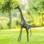 Giraffen - Mooievogels, Ophalen of Verzenden