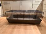 Cavia hok 120cm, 110 cm of meer, Zo goed als nieuw, Hok, Cavia
