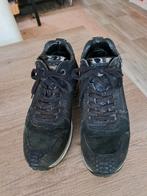 xsensible zwarte dames schoenen maat 39, Kleding | Dames, Xsensible, Zwart, Ophalen of Verzenden, Sneakers of Gympen