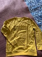 Trui / sweater van Cheaque Paire de Loule XL geel, Ophalen of Verzenden, Zo goed als nieuw, Maat 56/58 (XL), Geel