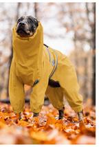 Sugar dog regenjas XL nieuw, Dieren en Toebehoren, Hondenkleding, Ophalen of Verzenden, Nieuw, Hondenregenjas