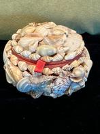 Dekseldoosje schelp (060425c), Antiek en Kunst, Curiosa en Brocante, Ophalen of Verzenden