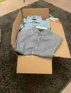 29x tommy hilfiger overhemden/polo’s (100% autentic), Kleding | Heren, Polo's, Ophalen of Verzenden, Zo goed als nieuw, Overige kleuren