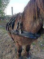 Minishet tuig, Dieren en Toebehoren, Paarden en Pony's | Hoofdstellen en Tuigage, Overige soorten, Gebruikt, Ophalen of Verzenden