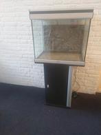 Aqualantis met led verlichting en meubel, Ophalen, Zo goed als nieuw, Leeg aquarium