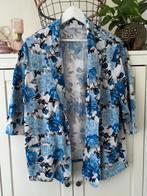 Peter Hahn vest maat 48, Ophalen of Verzenden, Zo goed als nieuw, Blauw, Trui of Vest