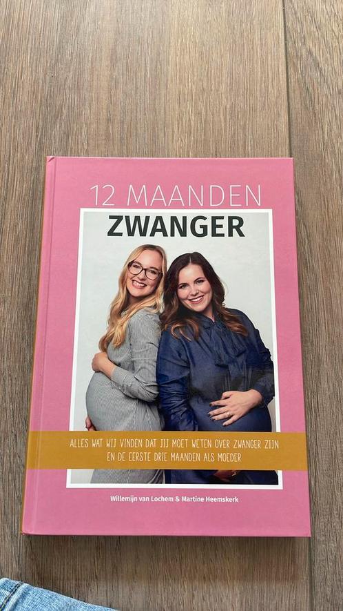 Willemijn van Lochem - 12 Maanden Zwanger, Boeken, Zwangerschap en Opvoeding, Zo goed als nieuw, Zwangerschap en Bevalling, Ophalen of Verzenden
