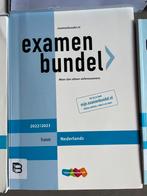 M. Reints - havo Nederlands 2022/2023, HAVO, Ophalen of Verzenden, Zo goed als nieuw, M. Reints