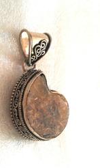 925 zilver hanger Ammoniet, Overige voorstellingen, Bruin, Verzenden, Nieuw