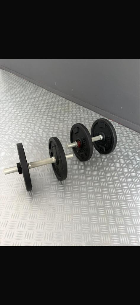 Halterset met Dumbbells en Gewichten, Sport en Fitness, Fitnessmaterialen, Zo goed als nieuw, Halterset, Armen, Ophalen