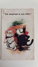 Ik ben verbaasd over je Felix. Felix de kat., Ophalen of Verzenden, Overige thema's