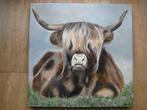 Schotse Hooglander 50 x 50 cm. 3D., Huis en Inrichting, Ophalen, Nieuw, Schilderij, 50 tot 75 cm