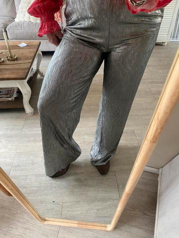 Ivivi Zilverbroek Maat L - Nieuw! beschikbaar voor biedingen
