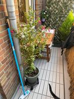 Ikea Runnen vlonders, Ophalen of Verzenden, Zo goed als nieuw, Kunststof