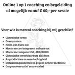 Online begeleiding bij burn out - Overbelast zenuwstelsel, Diensten en Vakmensen, Coaching en Persoonlijke effectiviteit, Persoonlijke ontwikkeling
