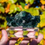 Fluoriet uit Pocket 42 #23, Ophalen of Verzenden, Mineraal