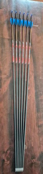 Black Eagle Intrepid Pijlen - Set van 6, Sport en Fitness, Handboogschieten, Ophalen, Zo goed als nieuw, Overige typen