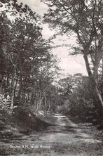 Oude ansichtkaart Bergen N.H. - In de Bossen, Ophalen of Verzenden, 1940 tot 1960, Ongelopen, Noord-Holland