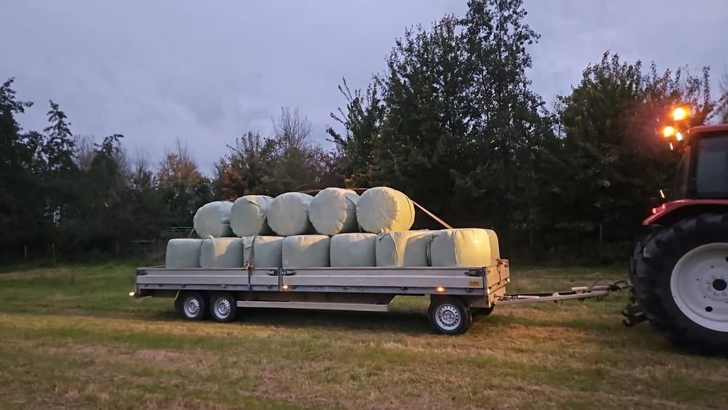 Kleine geplastificeerde hooibalen, Dieren en Toebehoren, Dierenvoeding, Ophalen, Vee