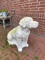 betonnen labrador, Tuin en Terras, Ophalen, Zo goed als nieuw, Beton, Dierenbeeld