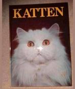 Katten. Angela Sayer, Ophalen of Verzenden, Zo goed als nieuw, Katten