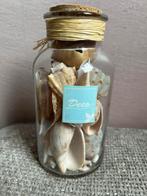 Schelp schelpen glazen pot, Ophalen of Verzenden, Gebruikt