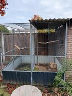 Te koop voliere zie adv👇, Dieren en Toebehoren, Ophalen, Volière