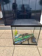 Aquarium MOET WEG!!!!!, Dieren en Toebehoren, Ophalen, Zo goed als nieuw