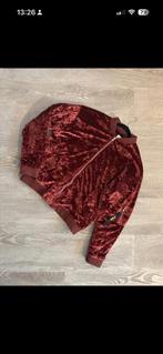 Bordeaux Rode Velvet bomber - Lois, Kleding | Dames, Maat 42/44 (L), Ophalen of Verzenden, Zo goed als nieuw, Lois