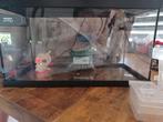 Jewel aquarium 60cm breed, Ophalen of Verzenden, Leeg aquarium