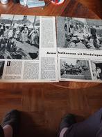 Artikel arme kalkoenen uit Hindelopen 1958, Ophalen of Verzenden, 1940 tot 1960, Knipsel(s)