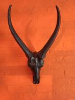 Groot Model Dieren Schedel ( Skul ), Ophalen of Verzenden, Zo goed als nieuw