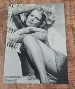 Kim Basinger - Amerikaans actrice / model, Verzenden, Ongelopen, Overige thema's
