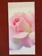 Canvas roze Roos 80 x 40 cm., Minder dan 50 cm, 50 tot 75 cm, Overige typen, Ophalen of Verzenden