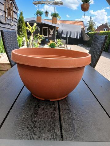 Grote Plastic Bloempot beschikbaar voor biedingen