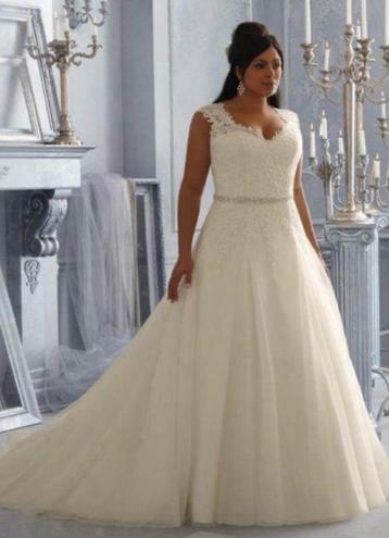 Grote maat 44,46,48,50,52,54,56 t/m 74 UITVERKOOP! beschikbaar voor biedingen