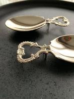 Set van 16 Verzilverde Amuse-lepels – Vintage, Antiek en Kunst, Ophalen of Verzenden