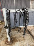 Mentuig IDEAL, Dieren en Toebehoren, Ophalen, Gebruikt, Overige soorten